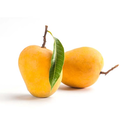 Organic Alphonso Mango